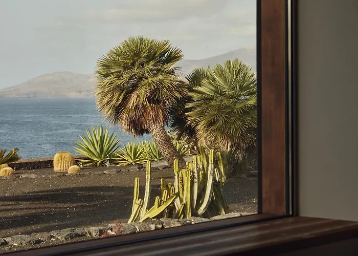 Tenor * 卡列罗港