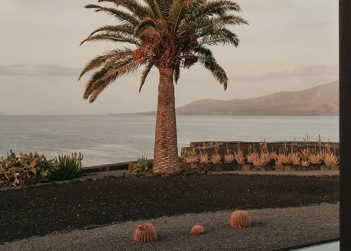 Tenor بْوُرتو كاليرو